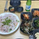 해뜨는죽변물회막회