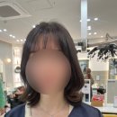 보보헤어 이미지