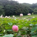 속리산계곡펜션 이미지