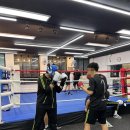 알앤비 풍무 복싱클럽 이미지