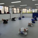 와이번 주짓수 합기도 이미지