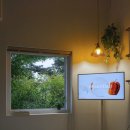 스테이 무림 이미지