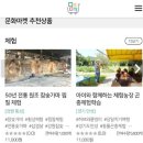 세라마켓