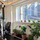 닥터포바디 퍼스널 트레이닝 이미지