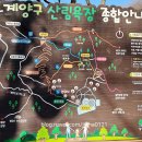 임학공원 출렁다리 이미지
