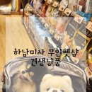 견생냥품무인24시하남미사