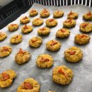 네발총총 이미지