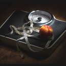 경희복싱클럽 이미지