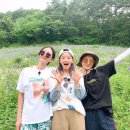 삼시세끼 이미지