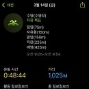 수영-303 이미지