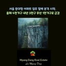 인포공인중개사사무소 이미지