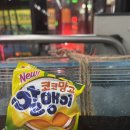 정릉9 | 정릉 파충류샵, 9골드렙타일 방문 후기! 도마뱀 나인골드랩타일