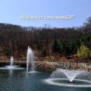 용인사계절화원 이미지