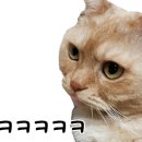 대빵오락실 김포 구래점 이미지