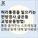 코뿔소 마취통증의학과 의원 이미지