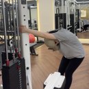신중동 pt 원짐 _ 3번째 pt 수업 후기 (라운드 숄더에 좋은 등 운동했다!)