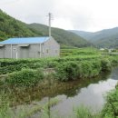 미천면-3 이미지