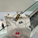 타코붐타코야키 | 영등포 타임스퀘어 팝업 [타코붐 타코야끼 더 블랙] 후기