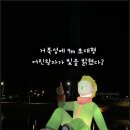 시화MTV메가스퀘어(거북섬메가스퀘어) | 시흥 거북섬 축제 어린왕자 별빛 점등식