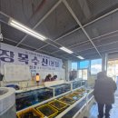 팔딱수산 이미지