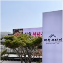 배동스테이 이미지