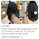 지오필러 이미지