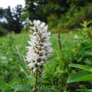 까치목장 이미지