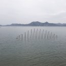 섬in섬 연홍미술관 이미지