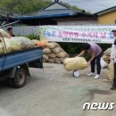 대합면사무소 이미지