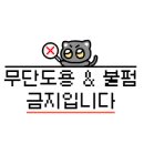 안정리 로데오거리3 이미지