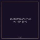 비타민도매몰 | 모로실핏오렌지 효능·후기·비교, 어떤 제품이 좋을까?