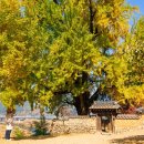 은행공원 내 이미지