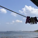 고운민박 이미지