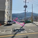 제스티파우더 이미지