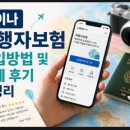 대주여행사 - 경주시 금성로385번길 20 | 라이나 여행자보험 가입방법 및 실제 후기 총정리