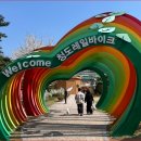 고단 버들고개쉼터 | “벚꽃 휘날리는 철길 위, 5km의 낭만”… 청도 레일바이크 봄나들이 가이드