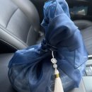 휴멍애견유치원 이미지