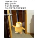🛩코타키나발루 여행 준비, 이렇게만 하면!🧳| 코타키나발루 여행 0일차