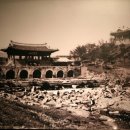 수원-1961 이미지