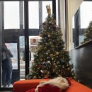 맨하탄노래방 | 🇺🇸 [뉴욕 7일차] 르뱅쿠키부터 7번가 버거까지, 맨해튼 미식 완전 정복