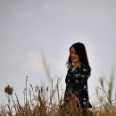 보다사진관