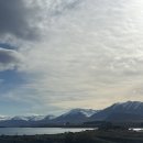 웨스트메도우 | 9월 뉴질랜드 남섬 여행 #4, 테카포에서 와나카로 🚗💨..린디스패스, 와나카 숙소(웨스트메도우), 나홀로나무