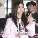 핑크여우 이미지