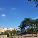 행정사 이기수 사무소 이미지