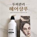 비듬두피관리 두피관리방법 가르마탈모 여자전용모근강화샴푸추천 HAMOCELL 더블유 헤어 로스 샴푸 후기