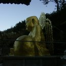 동래고등학교 이미지