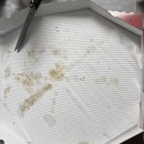 빅스타피자파주운정점 | 운정피자맛집 최고의 가성비피자 빅스타피자 파주운정점