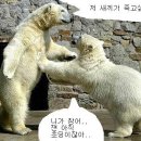 친구끼리 - 강진군 영랑로 30 | 친구끼리