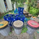 스테이 문릿 이미지