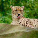 이른오후 이미지